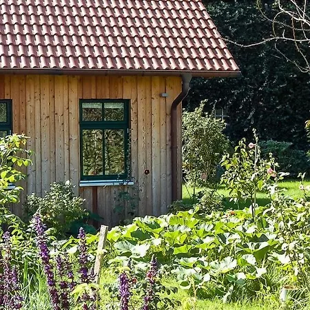 Alte Tischlerei 01 Prázdninový dům Wustrow (Fischland)